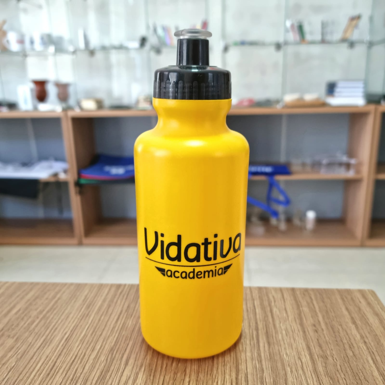 Squeeze Plástico 500 ml